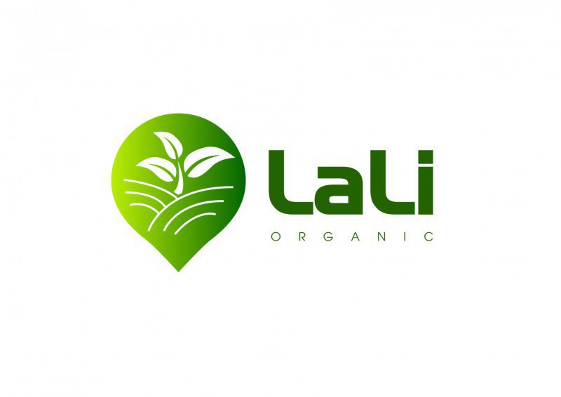 ĐƠN ĐẠI LÝ 2