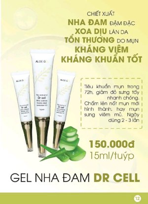 GEL NHA ĐAM DR CELL