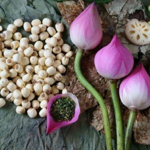 HẠT SEN TƯƠI ĐỒNG THÁP