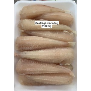 CÁ ĐÙI GÀ MỘT NẮNG