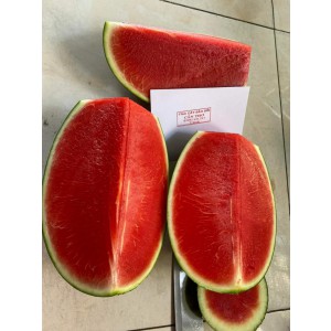 DƯA HẤU SỌC MỸ ( KHÔNG HẠT )