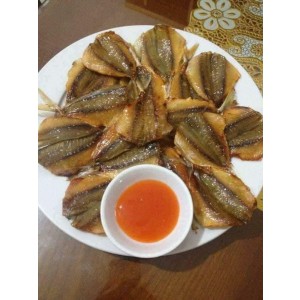 CÁ CHỈ VÀNG