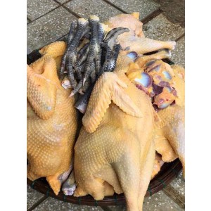 Gà nuôi tự nhiên