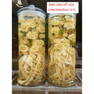 RƯỢU ĐINH LĂNG KÉT HOA
