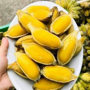 CHUỐI SÁP