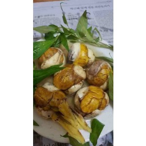 TRỨNG GÀ LỘN