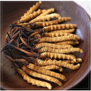 Đông trùng hà thảo