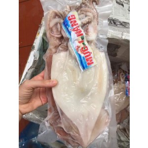 MỰC CÔ TÔ MỘT NẮNG