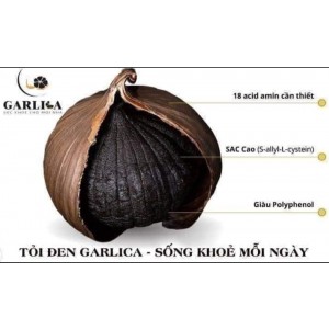 ??TỎI ĐEN CÔ ĐƠN??