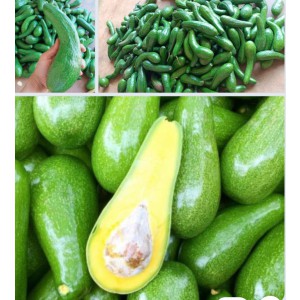 ??BƠ SÁP ĐẮC NÔNG??