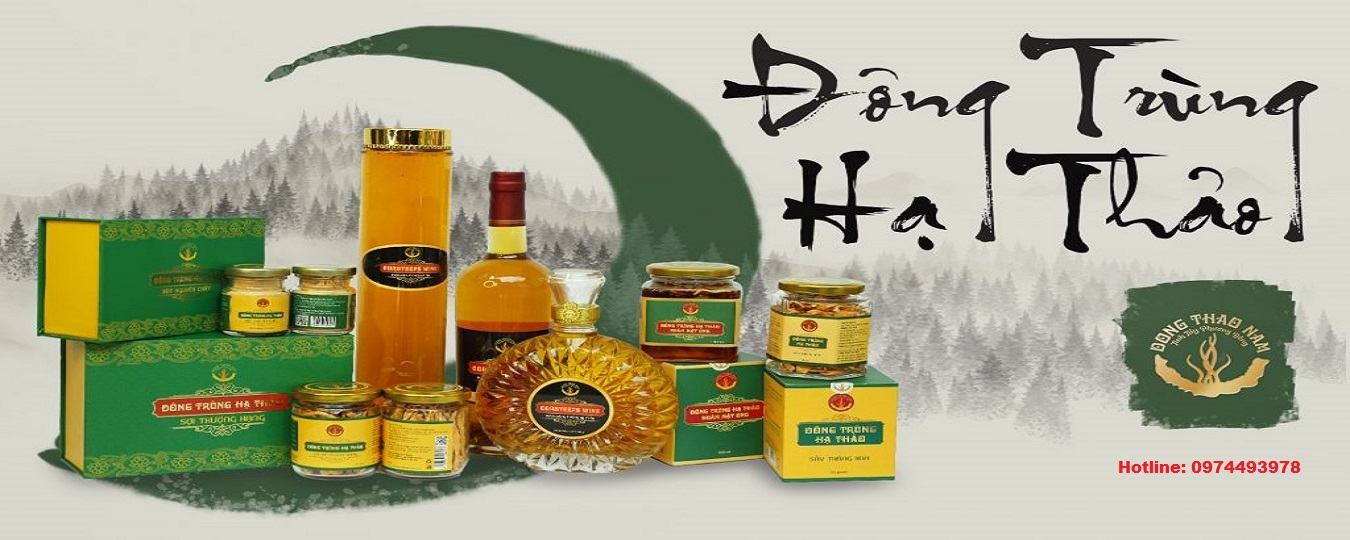 Banner CÔNG TY TNHH ĐÔNG THẢO NAM