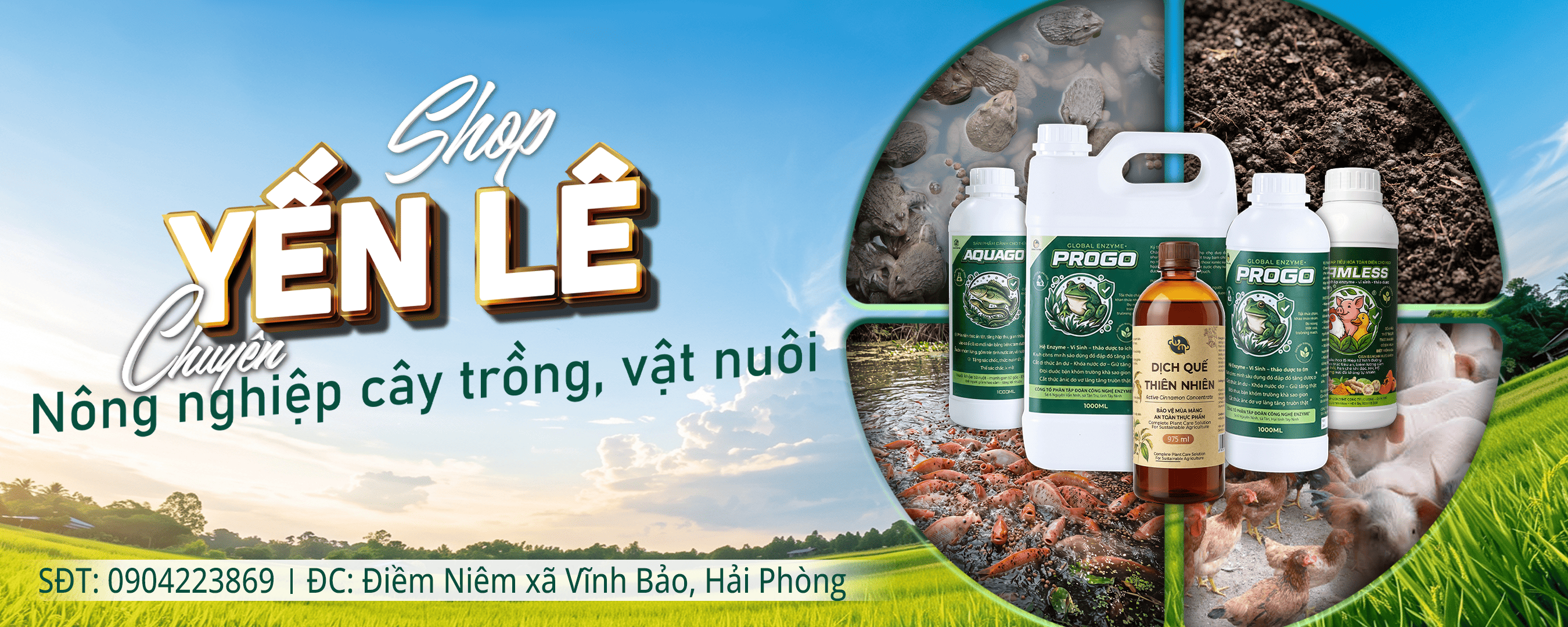 Banner Le Thi Yen